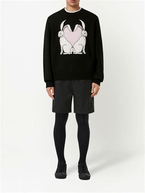 rabbit burberry clothing